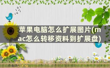 苹果电脑怎么扩展图片(mac怎么转移资料到扩展盘)