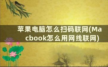 苹果电脑怎么扫码联网(Macbook怎么用网线联网)