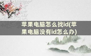 苹果电脑怎么找id(苹果电脑没有id怎么办)