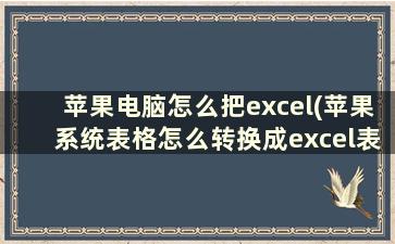 苹果电脑怎么把excel(苹果系统表格怎么转换成excel表格)