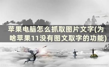 苹果电脑怎么抓取图片文字(为啥苹果11没有图文取字的功能)