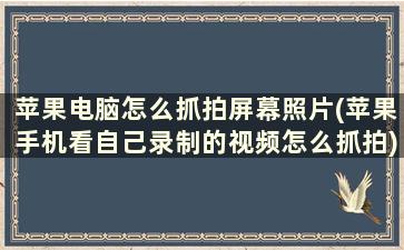 苹果电脑怎么抓拍屏幕照片(苹果手机看自己录制的视频怎么抓拍)