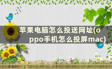 苹果电脑怎么投送网址(oppo手机怎么投屏mac)