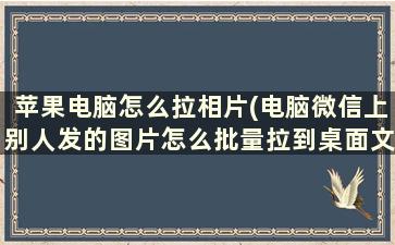 苹果电脑怎么拉相片(电脑微信上别人发的图片怎么批量拉到桌面文件里)