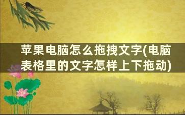 苹果电脑怎么拖拽文字(电脑表格里的文字怎样上下拖动)