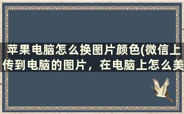 苹果电脑怎么换图片颜色(微信上传到电脑的图片，在电脑上怎么美颜)