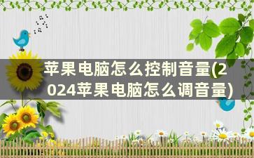 苹果电脑怎么控制音量(2024苹果电脑怎么调音量)