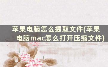 苹果电脑怎么提取文件(苹果电脑mac怎么打开压缩文件)