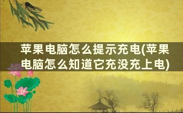 苹果电脑怎么提示充电(苹果电脑怎么知道它充没充上电)