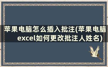 苹果电脑怎么插入批注(苹果电脑excel如何更改批注人姓名)