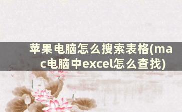 苹果电脑怎么搜索表格(mac电脑中excel怎么查找)