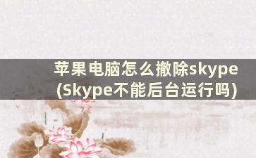 苹果电脑怎么撤除skype(Skype不能后台运行吗)