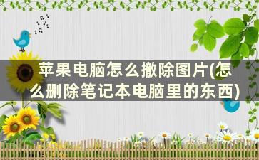 苹果电脑怎么撤除图片(怎么删除笔记本电脑里的东西)