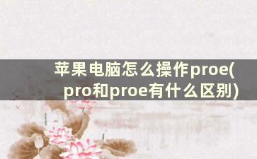 苹果电脑怎么操作proe(pro和proe有什么区别)