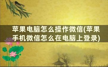 苹果电脑怎么操作微信(苹果手机微信怎么在电脑上登录)