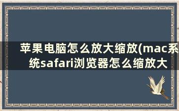 苹果电脑怎么放大缩放(mac系统safari浏览器怎么缩放大小)