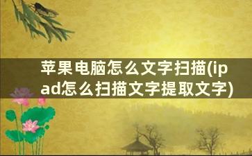 苹果电脑怎么文字扫描(ipad怎么扫描文字提取文字)