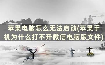 苹果电脑怎么无法启动(苹果手机为什么打不开微信电脑版文件)