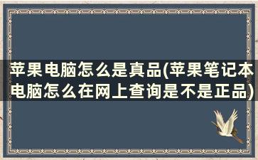 苹果电脑怎么是真品(苹果笔记本电脑怎么在网上查询是不是正品)