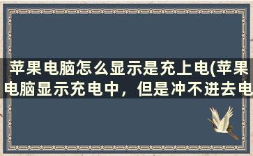 苹果电脑怎么显示是充上电(苹果电脑显示充电中，但是冲不进去电是怎么回事)