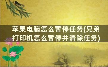 苹果电脑怎么暂停任务(兄弟打印机怎么暂停并清除任务)