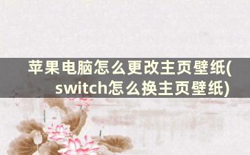 苹果电脑怎么更改主页壁纸(switch怎么换主页壁纸)