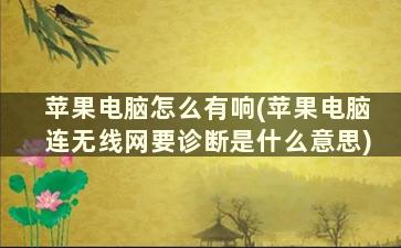 苹果电脑怎么有响(苹果电脑连无线网要诊断是什么意思)