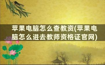 苹果电脑怎么查教资(苹果电脑怎么进去教师资格证官网)