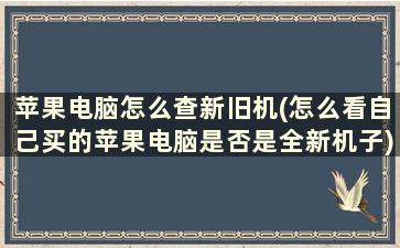 苹果电脑怎么查新旧机(怎么看自己买的苹果电脑是否是全新机子)