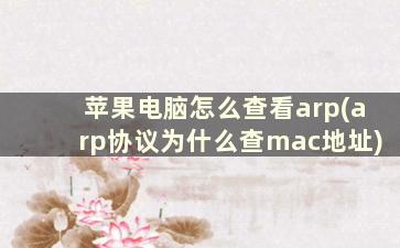 苹果电脑怎么查看arp(arp协议为什么查mac地址)