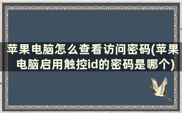 苹果电脑怎么查看访问密码(苹果电脑启用触控id的密码是哪个)