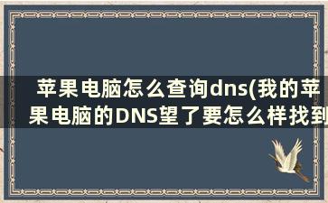 苹果电脑怎么查询dns(我的苹果电脑的DNS望了要怎么样找到我在广州谢谢)