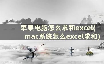 苹果电脑怎么求和excel(mac系统怎么excel求和)