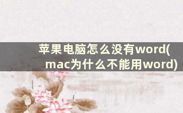 苹果电脑怎么没有word(mac为什么不能用word)