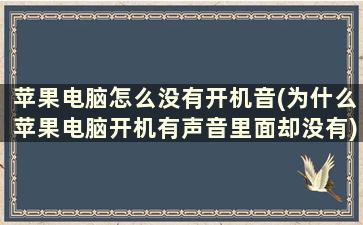 苹果电脑怎么没有开机音(为什么苹果电脑开机有声音里面却没有)