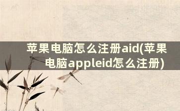 苹果电脑怎么注册aid(苹果电脑appleid怎么注册)