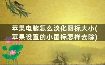 苹果电脑怎么淡化图标大小(苹果设置的小图标怎样去除)