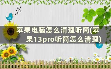 苹果电脑怎么清理听筒(苹果13pro听筒怎么清理)