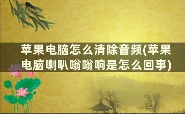 苹果电脑怎么清除音频(苹果电脑喇叭嗡嗡响是怎么回事)