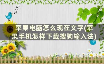 苹果电脑怎么现在文字(苹果手机怎样下载搜狗输入法)