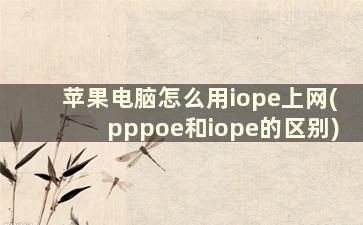 苹果电脑怎么用iope上网(pppoe和iope的区别)