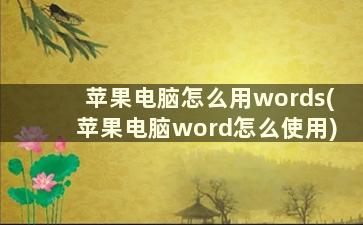 苹果电脑怎么用words(苹果电脑word怎么使用)