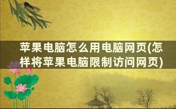 苹果电脑怎么用电脑网页(怎样将苹果电脑限制访问网页)