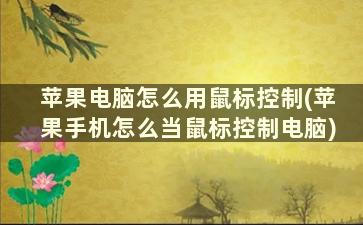 苹果电脑怎么用鼠标控制(苹果手机怎么当鼠标控制电脑)