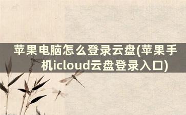 苹果电脑怎么登录云盘(苹果手机icloud云盘登录入口)