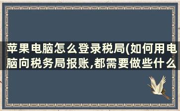 苹果电脑怎么登录税局(如何用电脑向税务局报账,都需要做些什么)