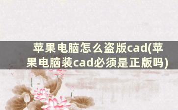 苹果电脑怎么盗版cad(苹果电脑装cad必须是正版吗)