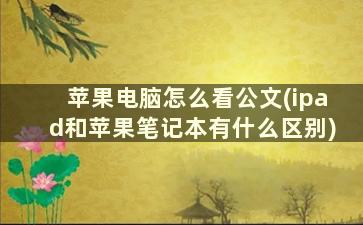 苹果电脑怎么看公文(ipad和苹果笔记本有什么区别)