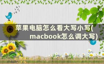 苹果电脑怎么看大写小写(macbook怎么调大写)