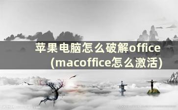 苹果电脑怎么破解office(macoffice怎么激活)